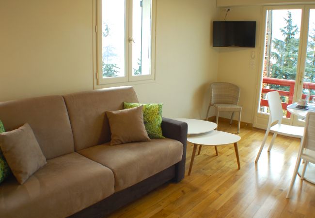 Living room - Holiday rental  living room, luxury, flat, holiday rental, annecy, vacation, lake view, mountain, chalet, standing, hotel, snow, sun