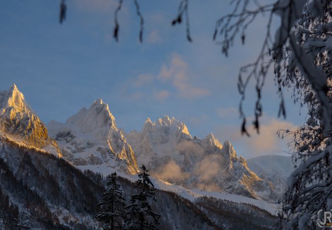 rental apartment - la clusaz  apartment, snow, high end residence, hotel, vacations, family, ski, la clusaz, concierge, holidays rental