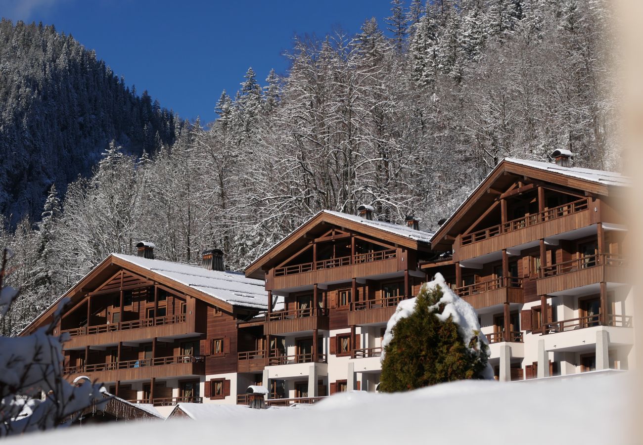 Apartment in La Clusaz - LCZ - Charmant T2 au coeur du village, 4*
