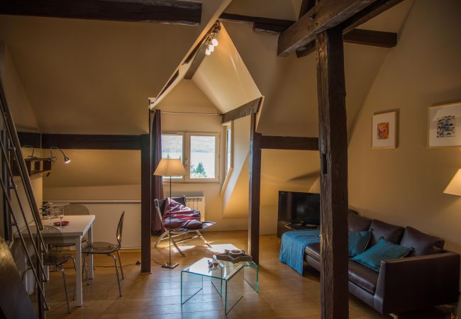 Apartment in Talloires-montmin - TALLOIRES village - Le Loft du Manoir avec vue lac