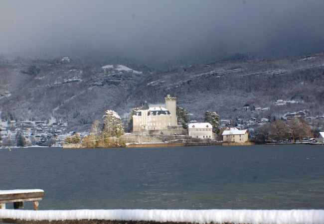 Residence with view on castle - Holiday rental  castle, lake view, residence, baie des voiles, Duingt, holiday rental, location