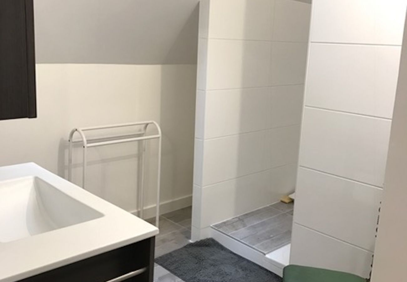 House in Saint-Jorioz - LE NANT House in Saint-Jorioz - LE NANT