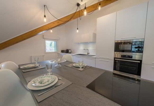 Kitchen - Holiday rental  kitchen, luxury, flat, duplex, holiday rental, annecy, vacation, lake view, mountain, seminar, jacuzzi, hotel, snow, sun