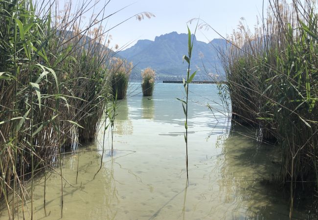 House in Sévrier - LA MAISON DE LA PLAGE House in Sévrier - LA MAISON DE LA PLAGE