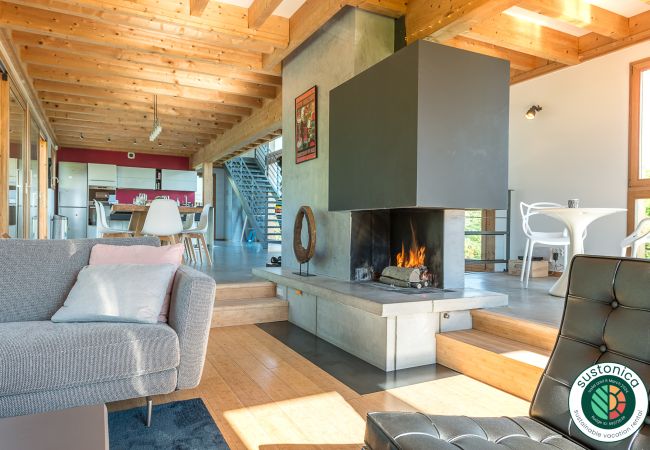 lake annecy climate lounge, fireplace, rental, luxury, sun, lake view, Saint Jorioz, wood, holiday, holiday rental, cosy, charming