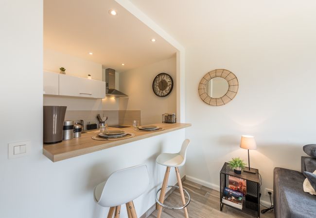 package holidays to annecy france kitchen, studio, apartment, luxury, seasonal rental, annecy, vacations, lake, mountain, hotel, snow, sun, cocooning