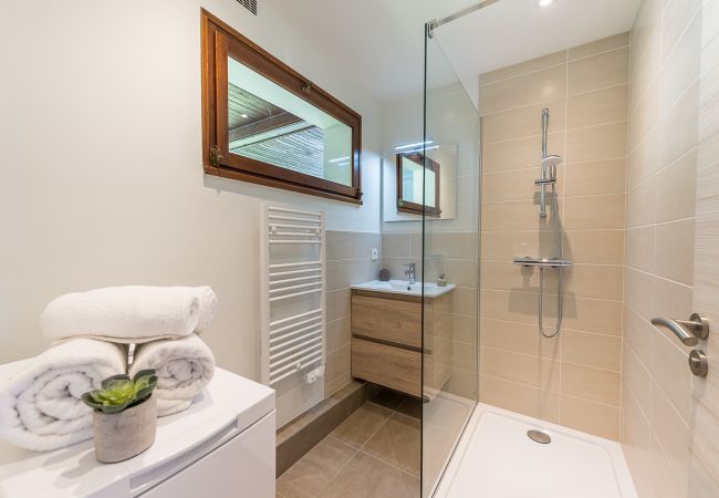 holidays to annecy shower room, studio, apartment, luxury, seasonal rental, annecy, vacations, lake, mountain, hotel, snow, sun, cocooning