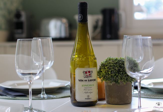 Book your summer vacation on LAC D'ANNECY cocooning, holiday rental, location, annecy, lake, mountains, luxury, house, villa, hotel, sun, snow, vacation