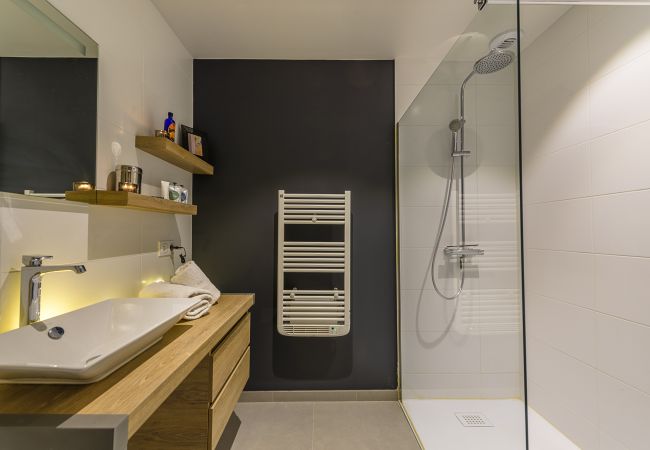 villa rental annecy lake  shower room, cocooning, seasonal rental, vacations, saint-jorioz, lake, mountain, luxury, house, hotel, snow, sun