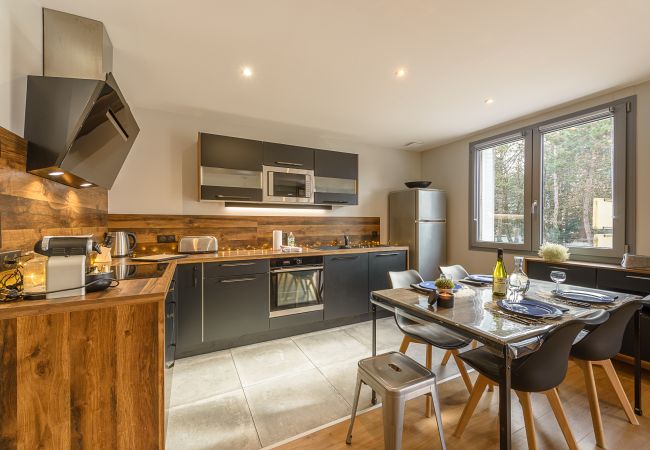Rent an apartment for the Annecy animation festival?  T3 luxury apartment located a few steps from the Imperial Palace in Annecy - locationlacannecy
