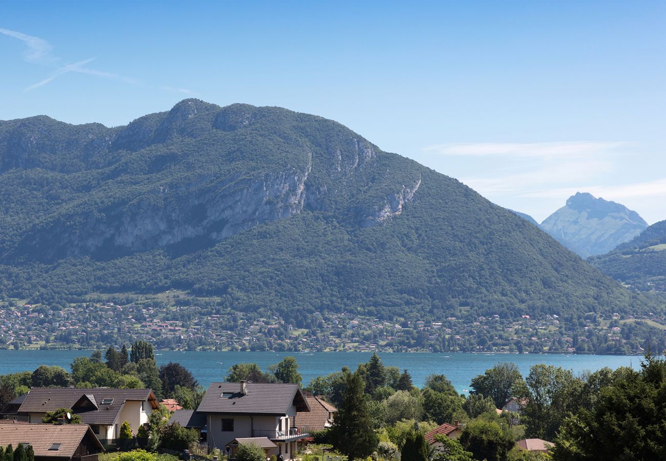 House in Sévrier - Maison LE Moulin