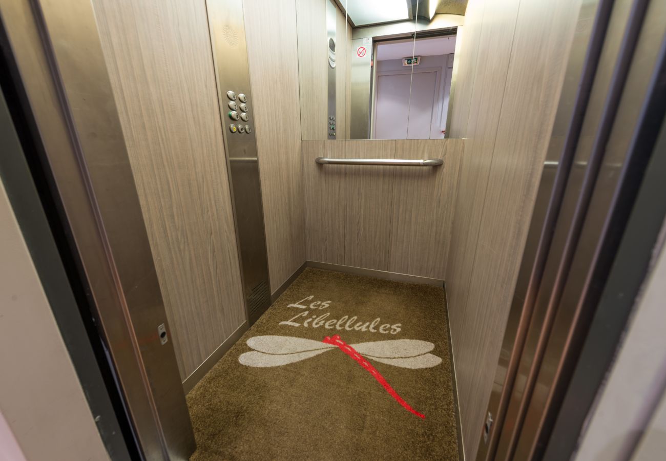 Résidence Les Libellules à Duingt / Annecy - Location saisonnière  résidence, appartement, luxe, location saisonnière, annecy, vacances, vue lac, montagne, hôtel, plage privée, neige, soleil