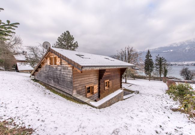 Chalet vue extérieure - Location saisonnière  famille, chalet, location saisonnière, annecy, vacances, lac, montagne, luxe, maison, hôtel, neige, soleil