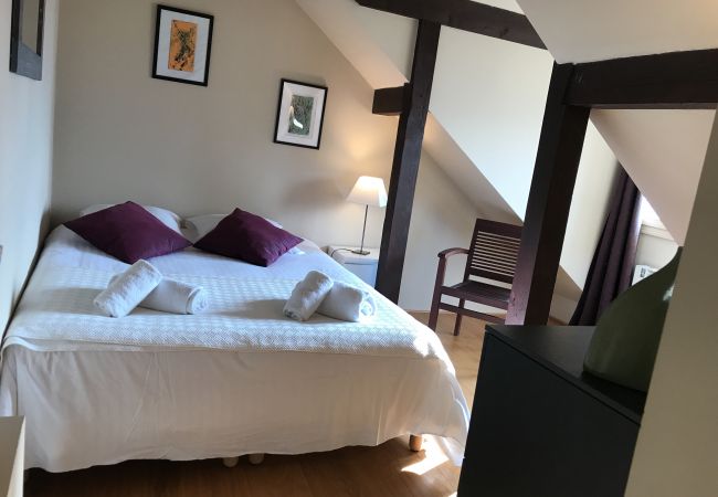 Appartement à Talloires-montmin - TALLOIRES village - Le Loft du Manoir avec vue lac Appartement à Talloires-montmin - TALLOIRES village - Le Loft du Manoir avec vue lac
