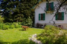 Maison à Saint-Jorioz - LE NANT