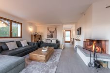 salon, séjour, cheminée, convivial, tv, cocon, cosy, à louer, vacances, annecy, Verthier, balcon, jardin, enfants, famille