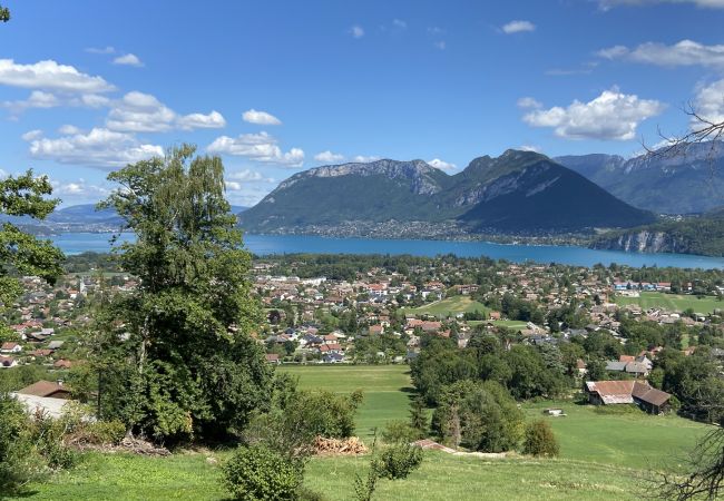  à Saint-Jorioz - LE GRAND PRAZ