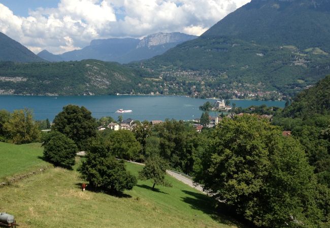 Maison à Duingt - LES PLATANES Maison à Duingt - LES PLATANES