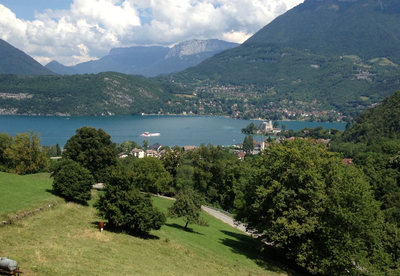Maison à Duingt - LES PLATANES Maison à Duingt - LES PLATANES