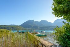 plage privée, villa lac d'Annecy, maison à louer, vacances à Duingt, séjour lac et montagnes, hébergement au bord du lac 